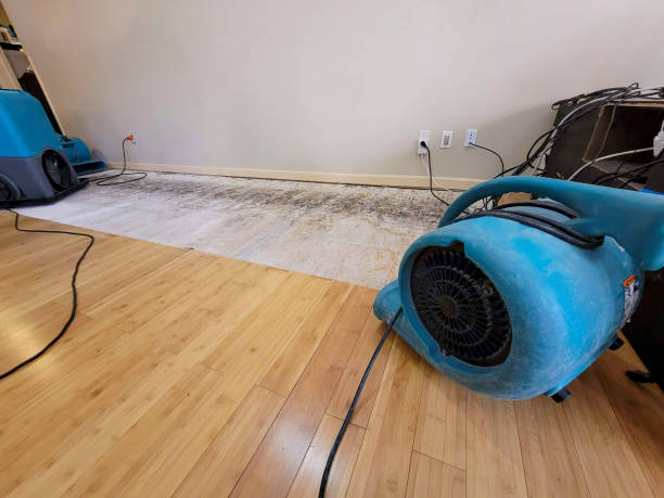 Professional Emergency Water Damage technician working in Reader, WV